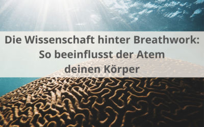 Die Wissenschaft hinter Breathwork – So beeinflusst der Atem deinen Körper