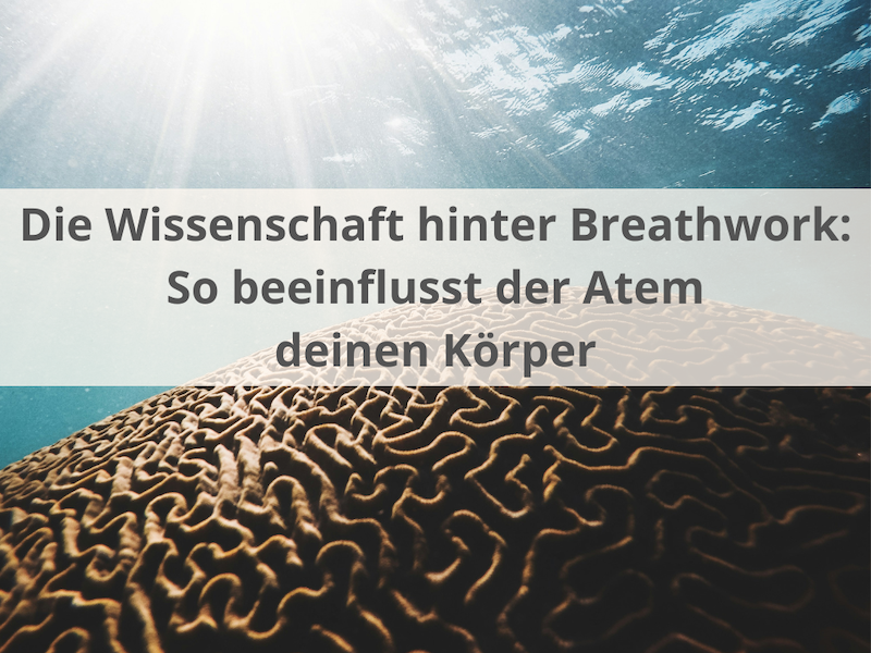 Die Wissenschaft hinter Breathwork
